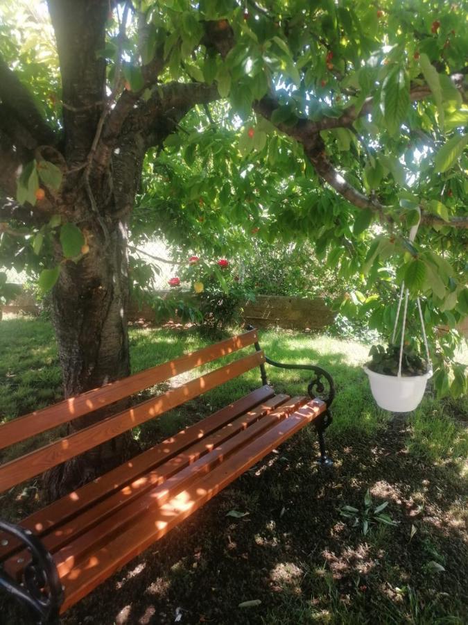 Apartment Ferara Betina (Sibenik-Knin)